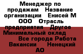 Менеджер по продажам › Название организации ­ Енисей-М, ООО › Отрасль предприятия ­ Другое › Минимальный оклад ­ 100 000 - Все города Работа » Вакансии   . Ненецкий АО